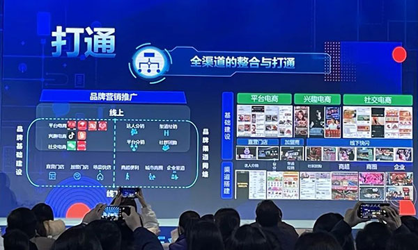 别再把“全域营销”当口号了,你连抖音和私域都没打通